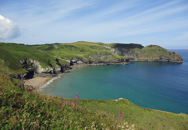 Bossiney Haven