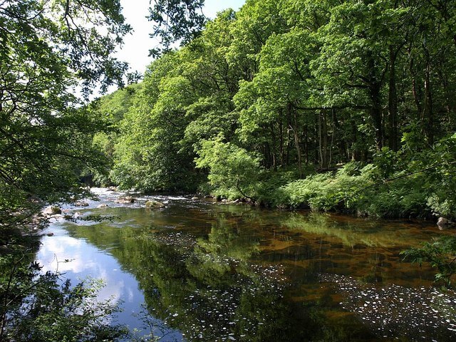 Dartmoor Wild Swimming Sharrah Pool 