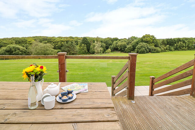 regional and national marketing - primrose cottage outdoor table with cakes and tea.
