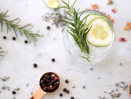 Photograph of gin goblet with gin, tonic and garnish