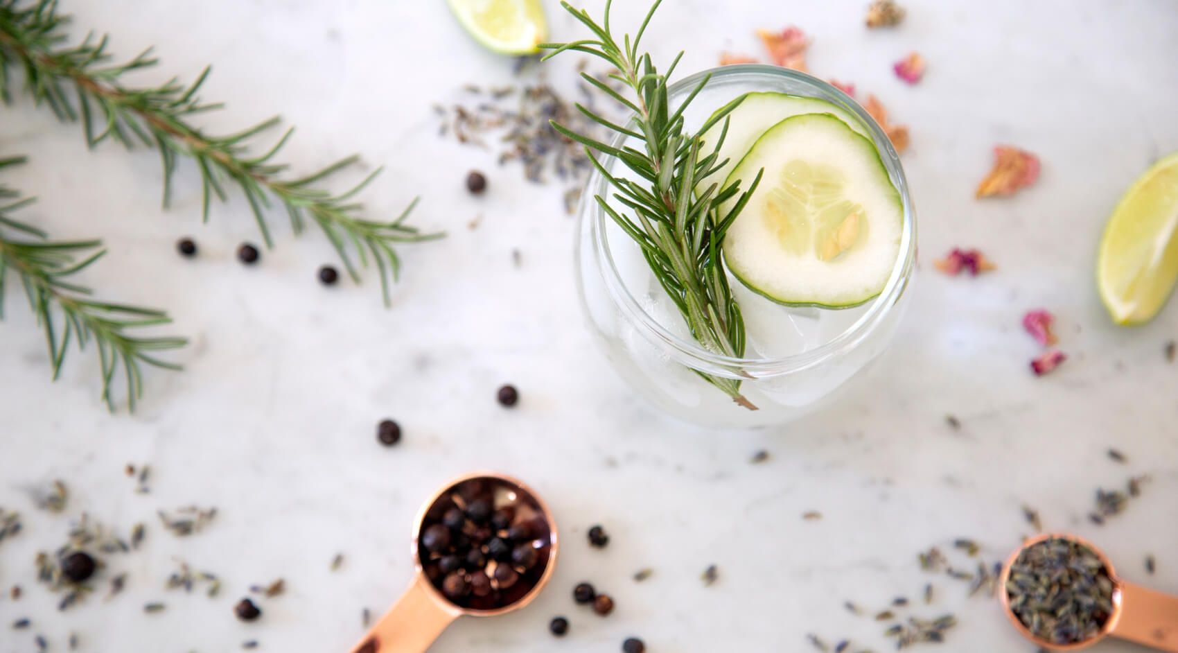 Photograph of gin goblet with gin, tonic and garnish