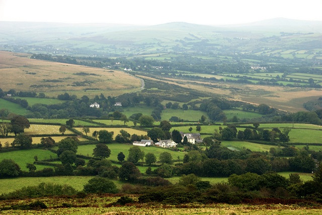 Brentor Area