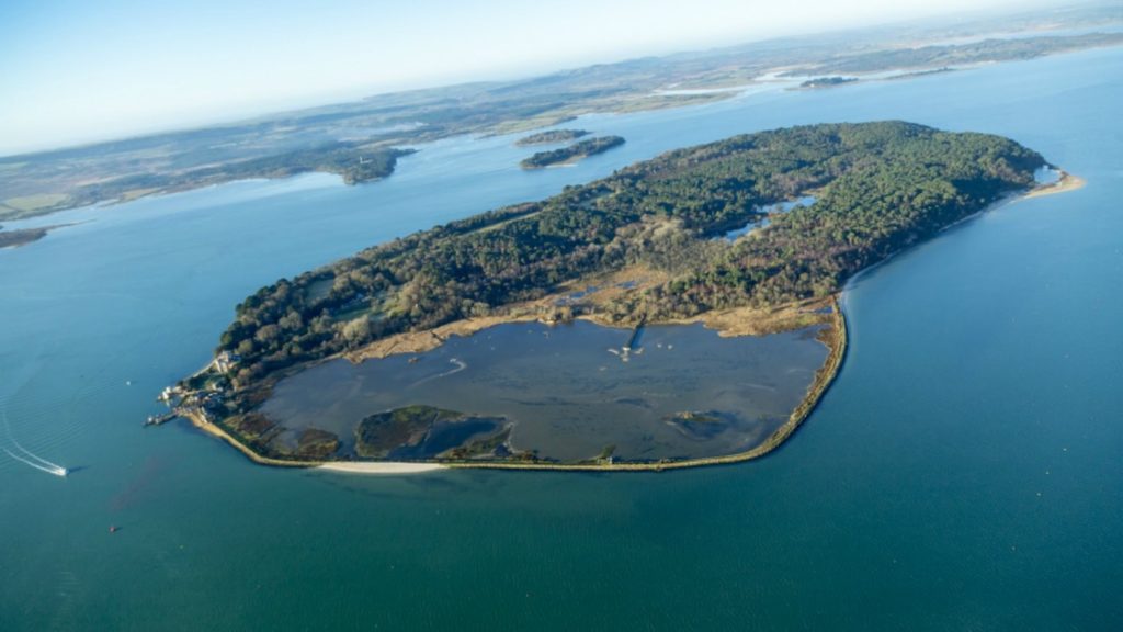 Brownsea Island