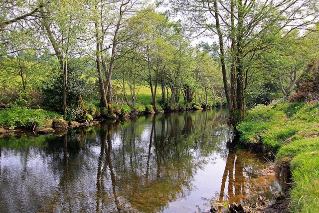 Chagford River