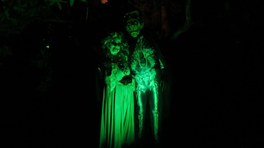 Creepy Dolls at Dunster
