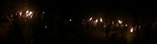 Orchard Wassailing