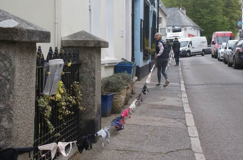 Bra Bunting Chagford Dartmoor