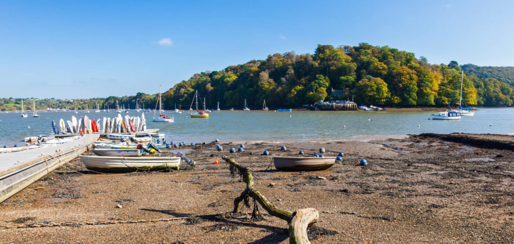 Image of Dittisham Quay and Jetty with Greenway in the background