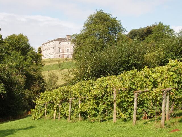 Sharpham House and Vineyard Totnes Devon