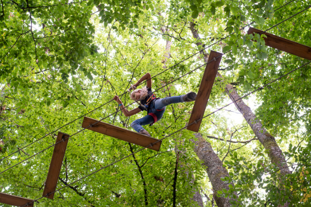 Young girl on tree tops rope course viewed from below.