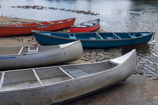 Canoes at side of river