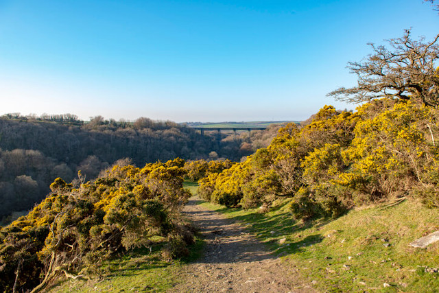 Granite way cycle trail with view of Meldon Viaduct