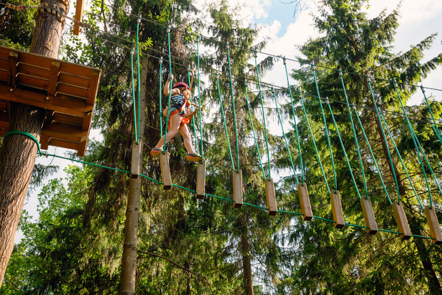 treetop adventure course