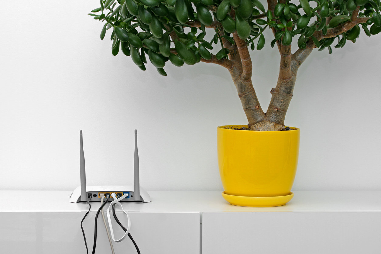 Wifi information in your guest information folder