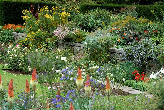 Flowers at Castle Drogo garden