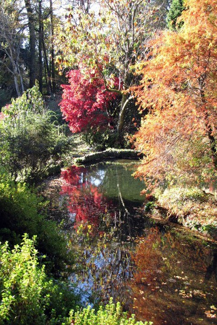 Lukesland Gardens