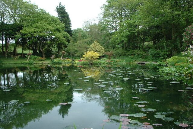 Lake at Marwood Hill Gardens