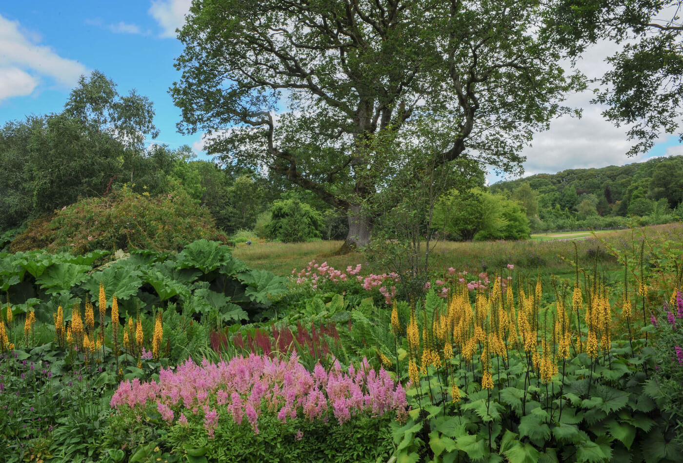 Colourful flower border at RHS Rosemoor