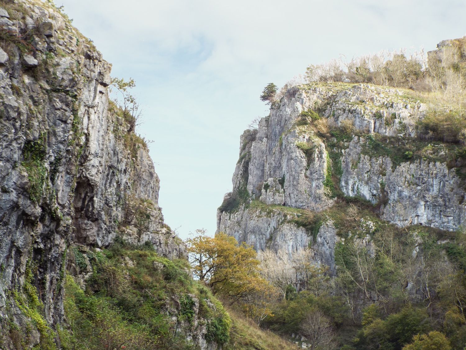 Cheddar Gorge