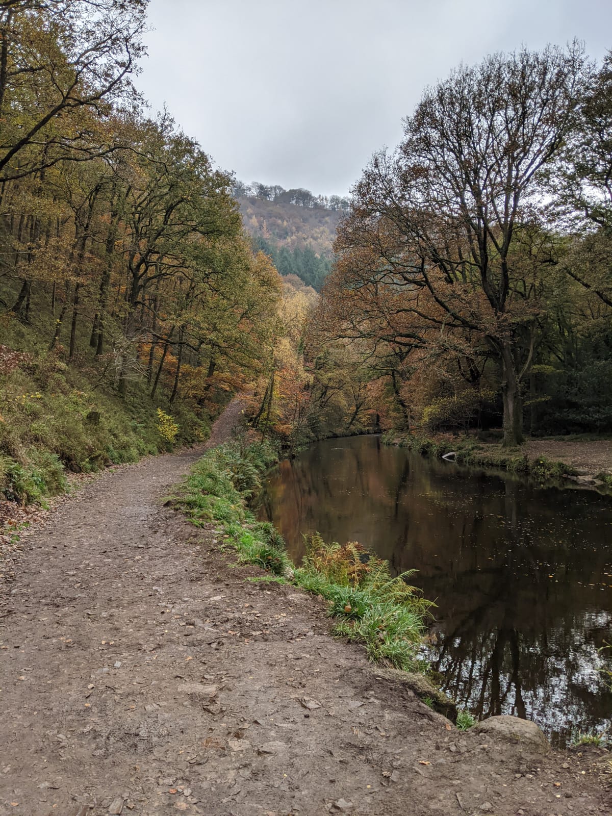 Fingle Bridge walking route