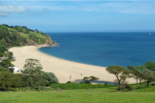 blackpool-sands-beach-devon