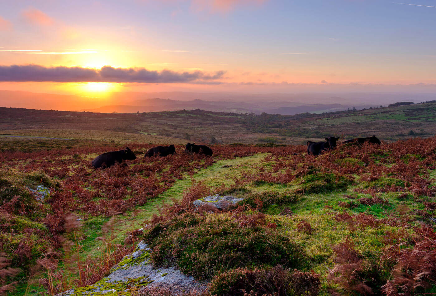 Autumn sunrise over Dartmoor.