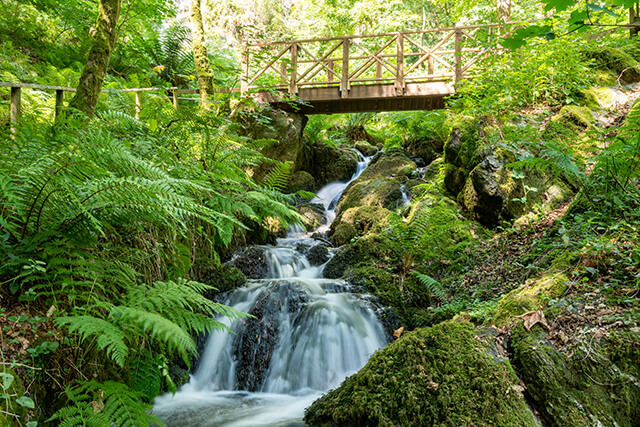 Canonteign Falls