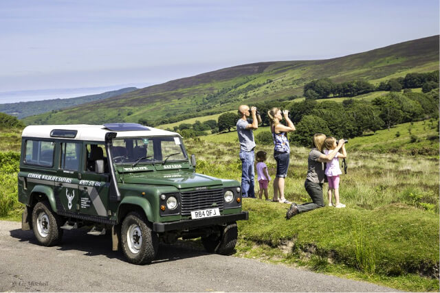 Exmoor Wildlife Safari Tour in Exmoor National Park.