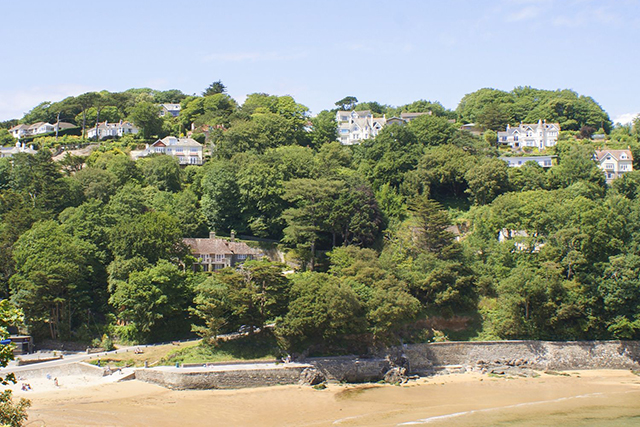 A view of the woods, a holiday cottage in Salcombe.